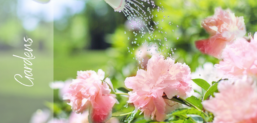 Click here to select and open our Gardens Project Gallery