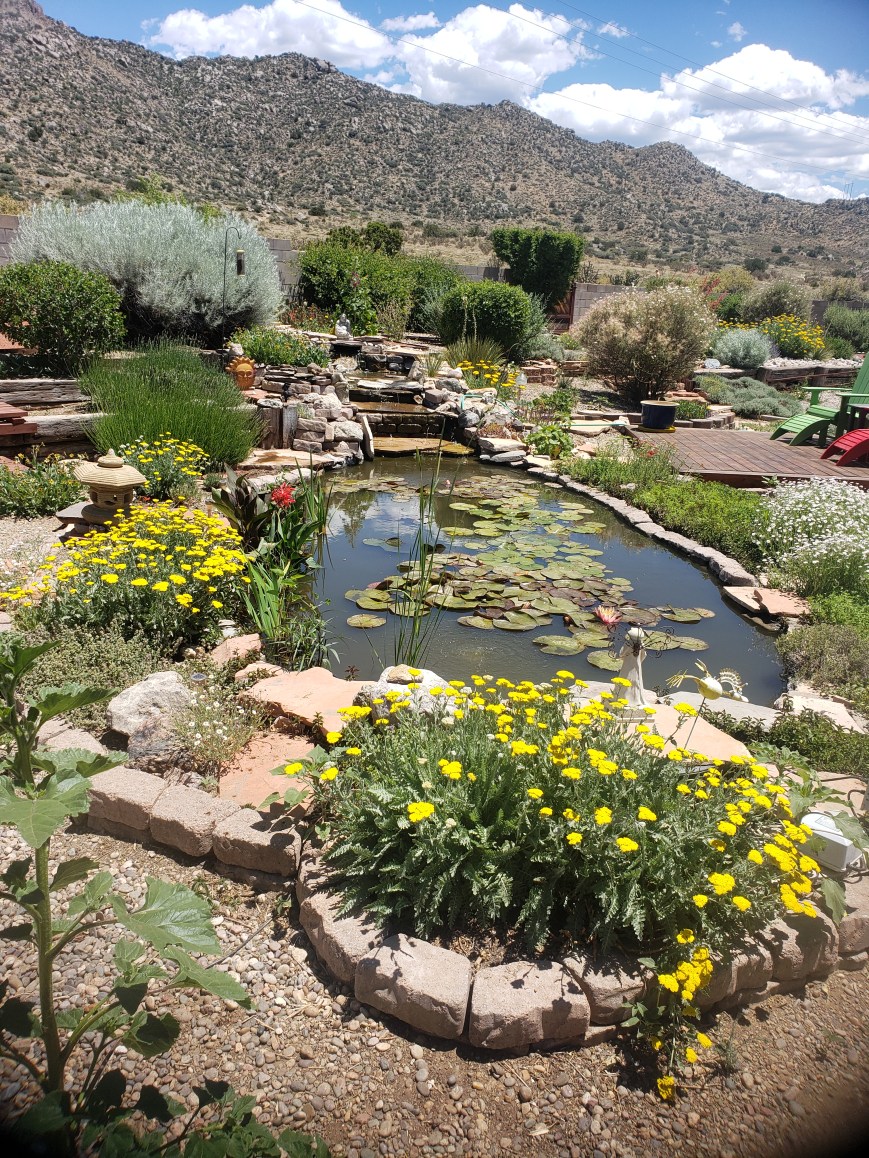 Beautifully Artistic Landscapes for the Southwest